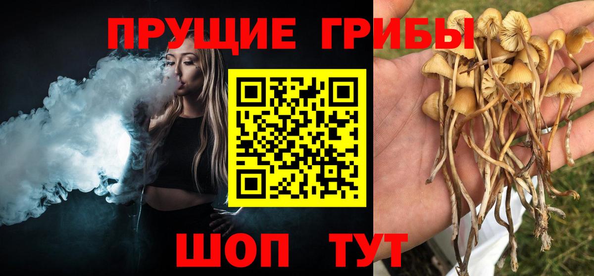 Галлюциногенные грибы MAGIC MUSHROOMS  где купить наркотик  Сатка  Вход с VPN 